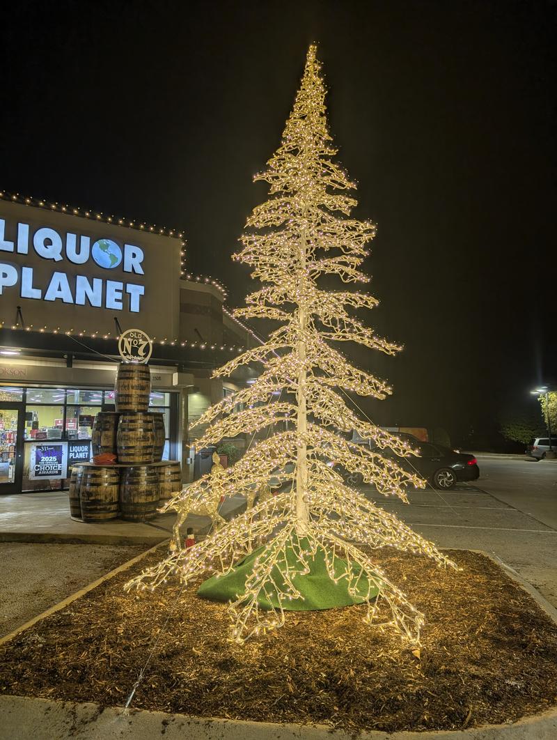 Tall lit tree outside a storefront