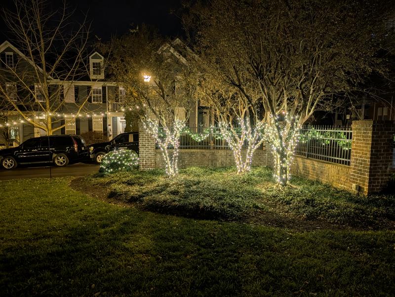 Trees wrapped in warm white lights beside a brick wall