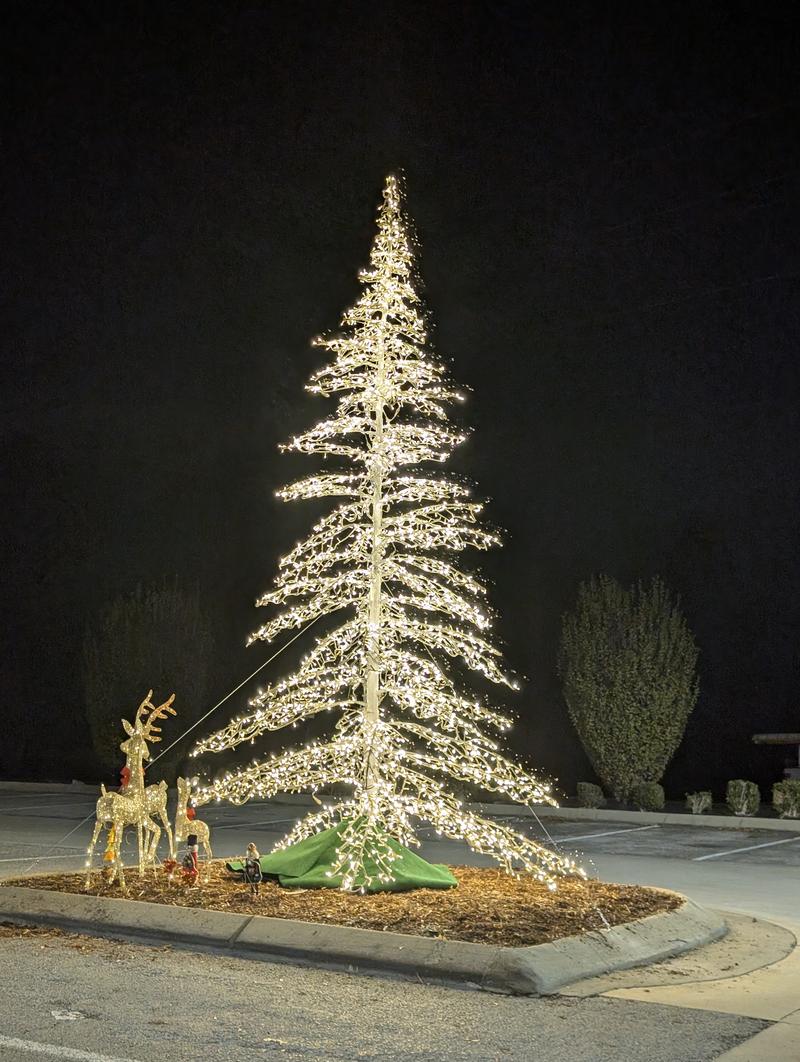 Tall lit tree with reindeer figures in a landscaped median